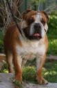 handsomeodie.jpg