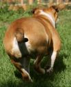 runing.jpg