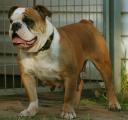 zarah121.jpg