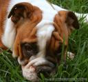 balerow yaltar’s wrinkles